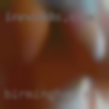 Birmingham, Michigan swingers